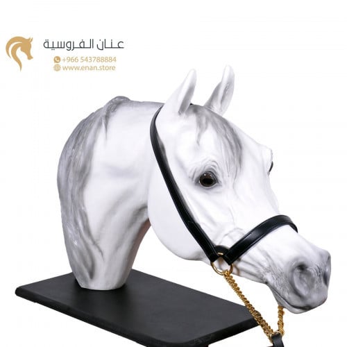 رشمة بيتا لتدريب الجمال (صغير-بدون حزام)