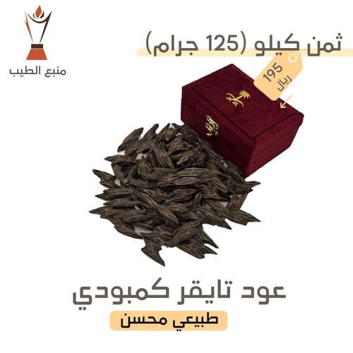 عود تايقر كمبودي