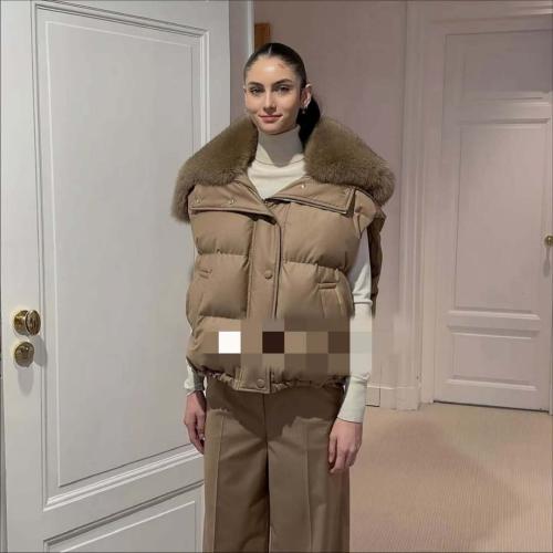 جاكيت