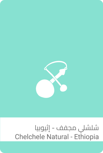 سولالات القهوة-شلشلي مجفف - إثيوبيا-1كيلو