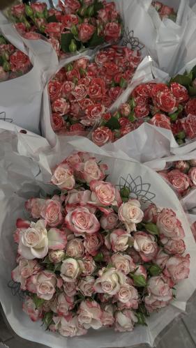 باقة ورد بيبي روز ( الطائف فقط)