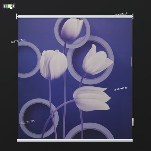 ستائر رول صوره 3D