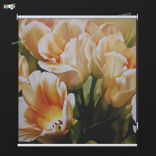 ستائر رول صوره 3D