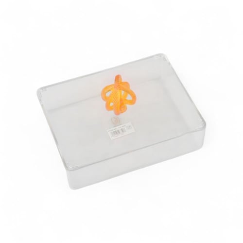 علبة تقديم سنيك أكريليك من سوليتير، لون شفاف وعنبر...