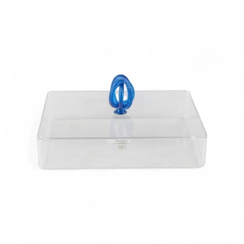 علبة تقديم سنيك أكريليك من سوليتير، لون شفاف وأزرق...