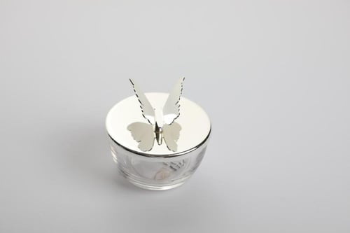 تمرية مع غطاء على شكل فراشة من سوليتير، لون فضي، ق...