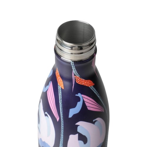 عبوة ماء من الستانلس ستيل المقاوم للصدأ من بيستر،...