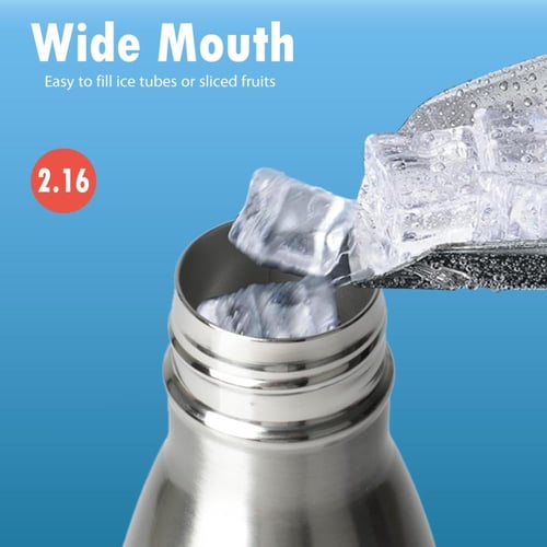 عبوة ماء من الستانلس ستيل المقاوم للصدأ من بيستر،...