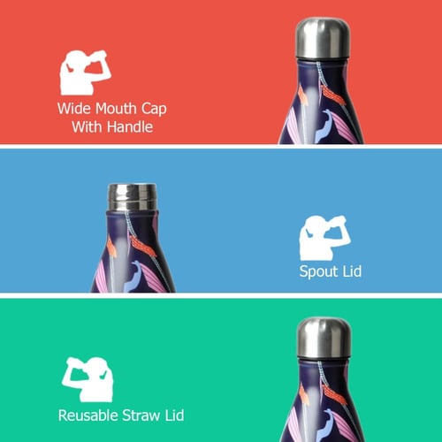 عبوة ماء من الستانلس ستيل المقاوم للصدأ من بيستر،...