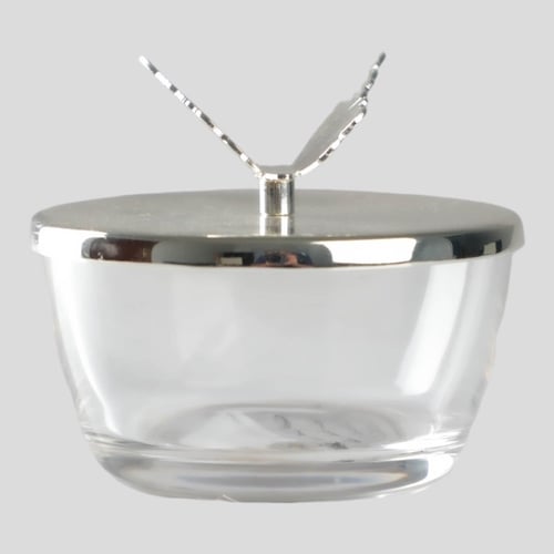 تمرية مع غطاء على شكل فراشة من سوليتير، لون فضي، ق...