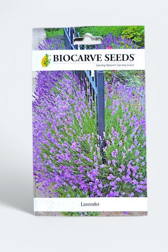 بذور زهور اللافندر (خزامى)
