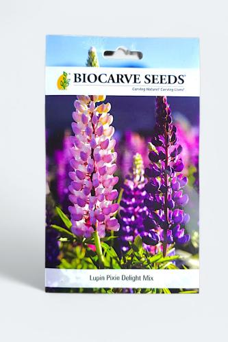 بذور زهور الترمس البنفسجي