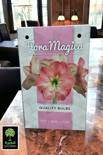 بصيلة أمارلس (وردي)