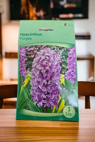 أبصال (هايسنت) بنفسجي