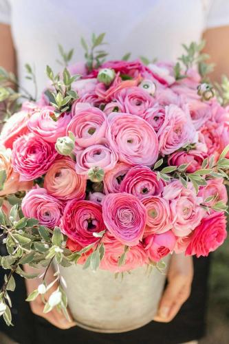 أبصال رينانكلاس وردي