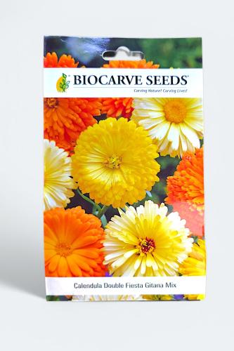 بذور زهور الأذريون المدبل (فيستيا جيتانا) منوعة