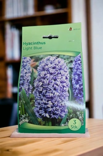 أبصال (هايسنت) أزرق فاتح