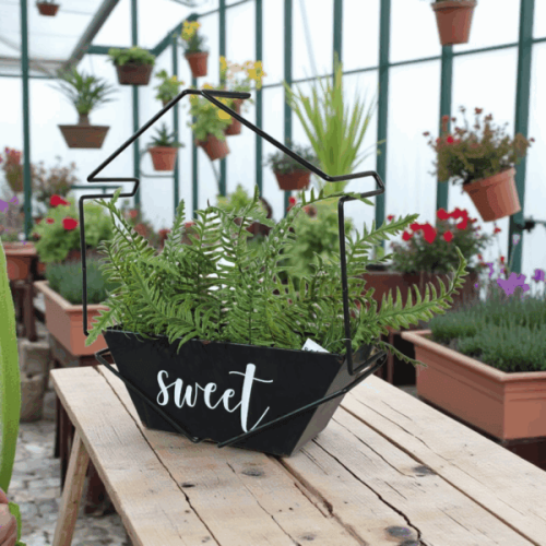 حوض نباتات جداري معدني – تصميم سداسي حديث (40 سم)