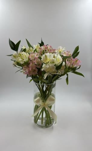 فازة ورد استوميريا