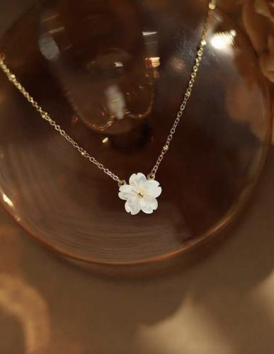 سلسال الوردة البيضاء