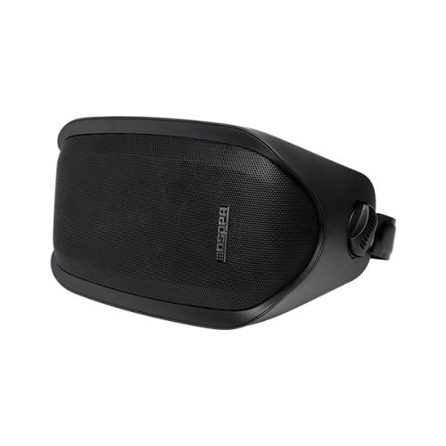 DSP2601B20W Waterproof Wall Mount Speaker with Pow...