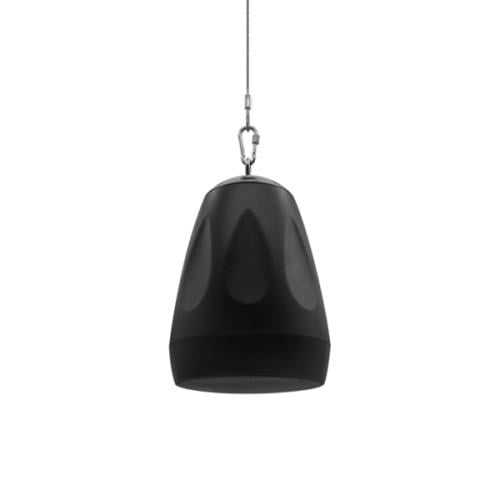 DSP4053P30W Pendent Speaker
