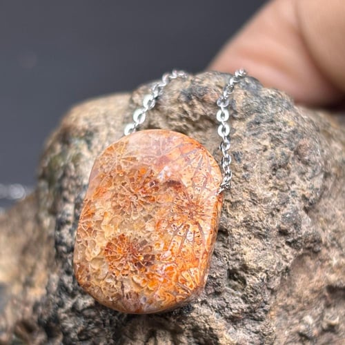 قلادة مرجان احفوري طبيعي