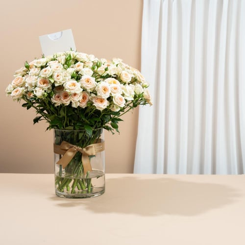 فازة ورد بيبي جوري اوف وايت