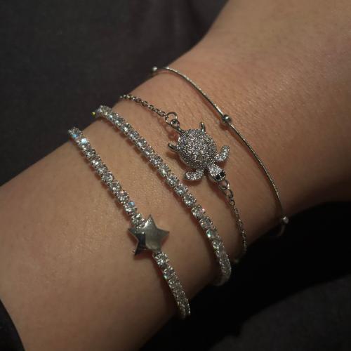 مجموعة السلحفاء فضي st