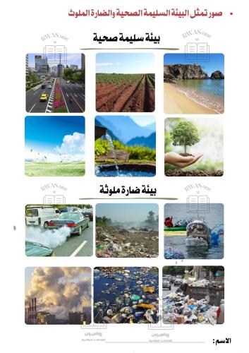صور تمثل الفرق بين البيئة السليمة والضارة الملوثة