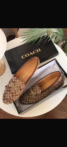 COACHالبيج والبني