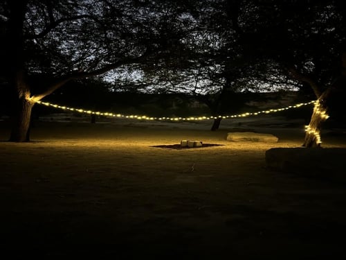 العقد الكلاسيكي