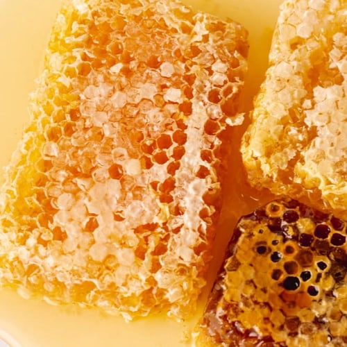 شمع عسل (الطلح)