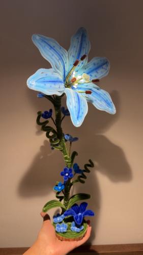 Magical lily