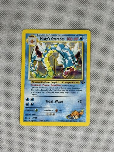 Misty's Gyarados