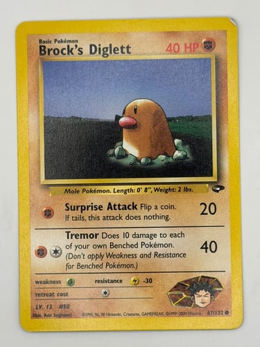 brocks digglet