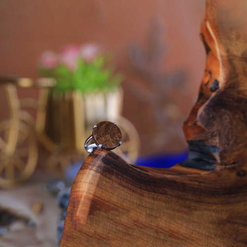 خاتم فضة شنكار حجر عقيق اسود معرق دائري عيار 925 أ...