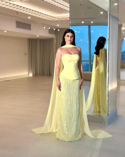 فستان سهرة خامةباربي مع شيفون كلفة تطريز