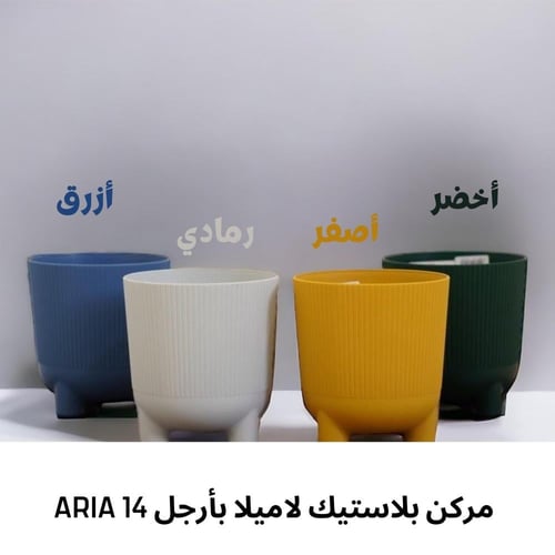 صمم هديتك | انتوريوم ابيض