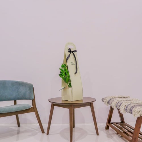 بكج إهداء SKY GARDEN مع نبتة الزاميا