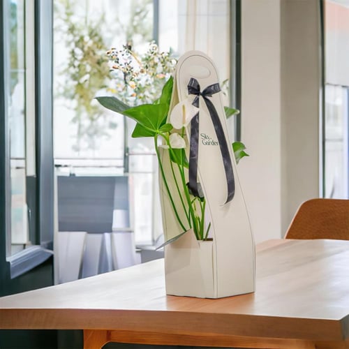 صمم هديتك | انتوريوم ابيض