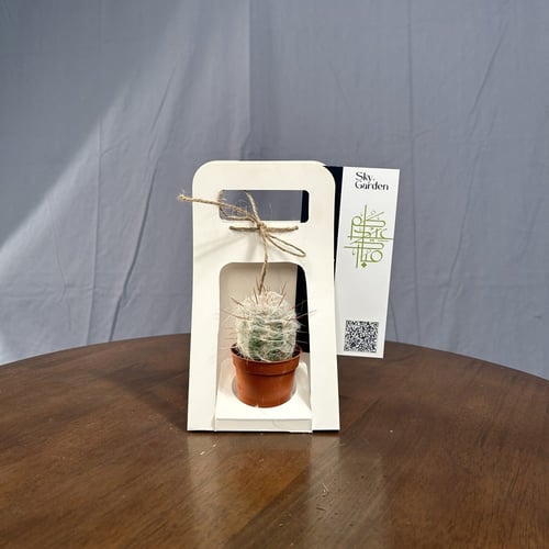 صباريات - توزيعات العيد