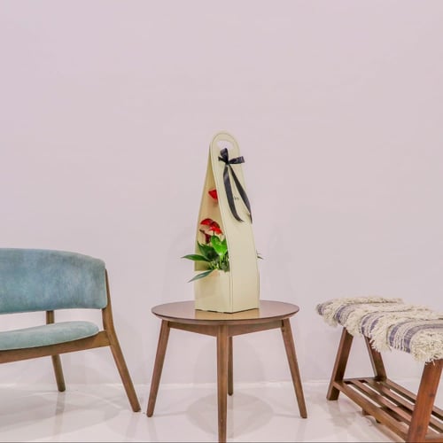 بكج إهداء SKY GARDEN مع نبتة الانتوريوم الأحمر هول...