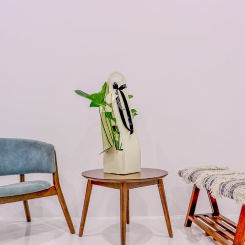 بكج إهداء SKY GARDEN مع نبتة الانتوريوم الآبيض