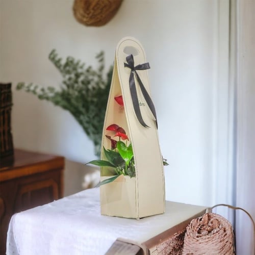 صمم هديتك | انتوريم احمر