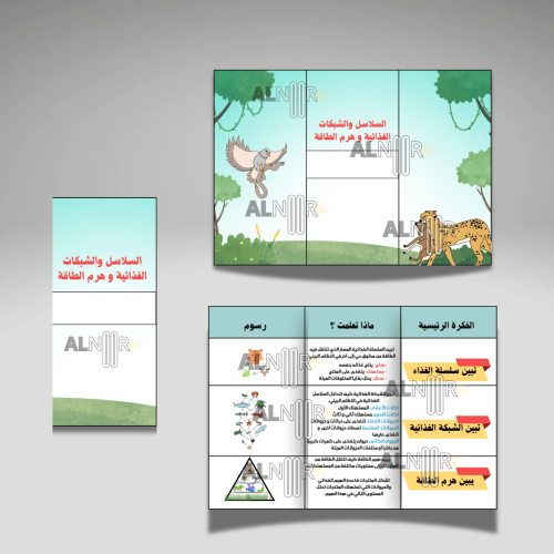 السلاسل والشبكات الغذائية و هرم الطاقة