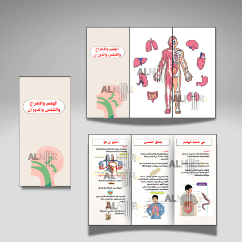 الهضم والإخراج والتنفس والدوران