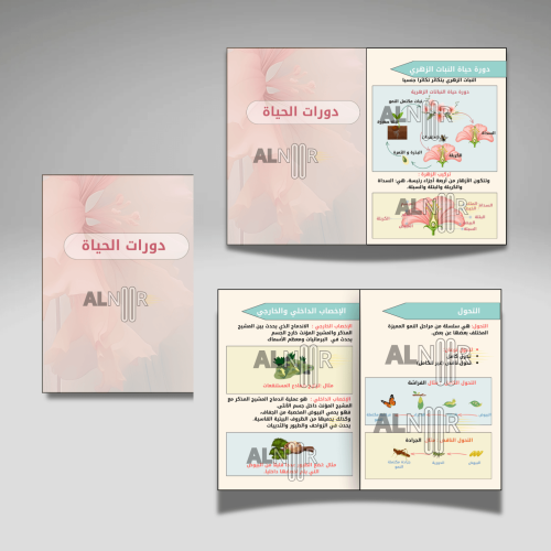 دورات الحياة