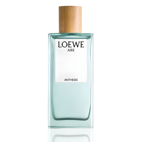 Loewe Aire Anthise Eau de Parfum - 100 ml