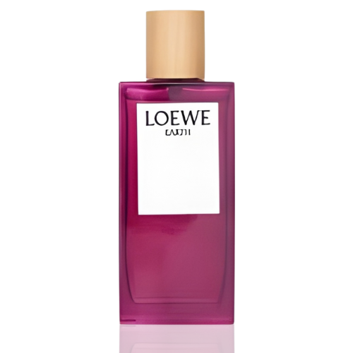 Loewe Earth perfume Eau de Parfum 100ml